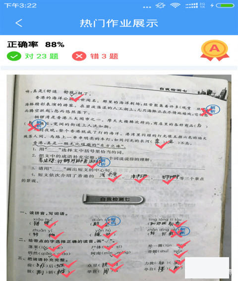 作业啦