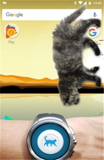 猫咪桌宠安卓客户端