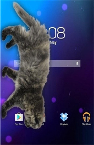 猫咪桌宠安卓客户端