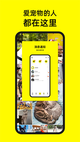 宠音app