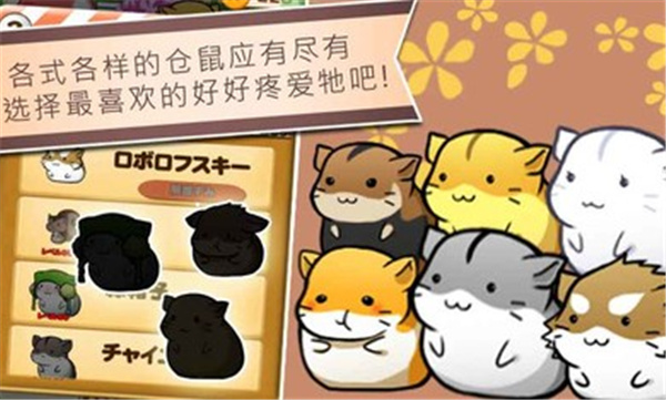 仓鼠的日常无限奶酪破解版